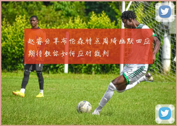 赵睿分享布伦森特点周琦幽默回应期待教你如何应对裁判